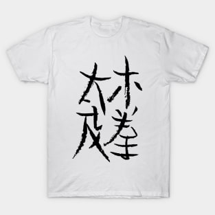 Taichichuan (chinese) T-Shirt